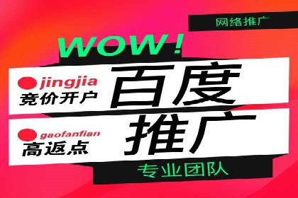 竞价开户攻略：成功案例分享